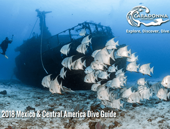 2018 Mexico and Central America Dive Guide