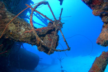 The Hilma Hooker The Hilma Hooker